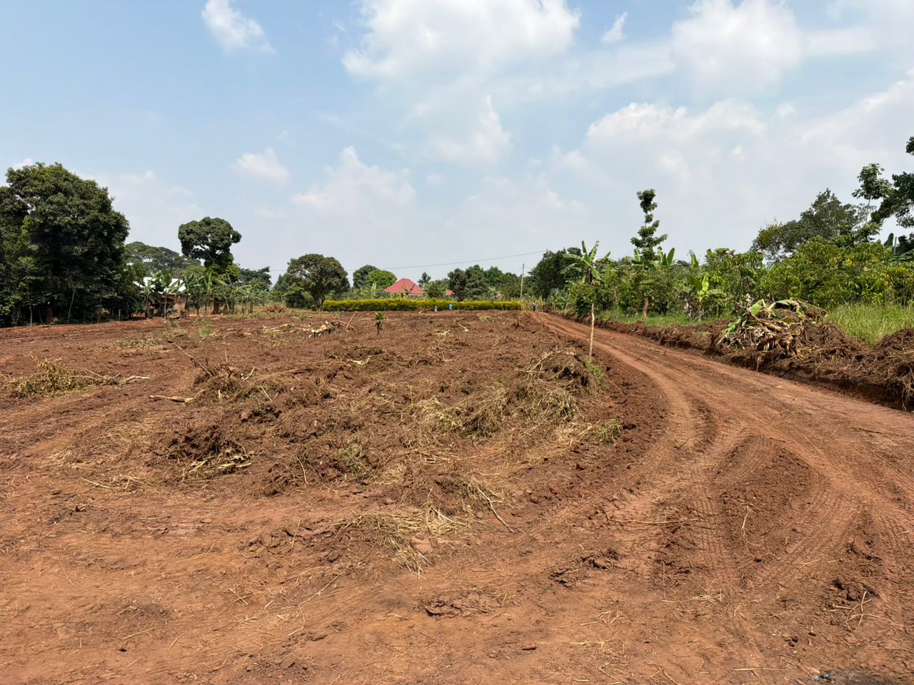 Abundant Properties Ug team