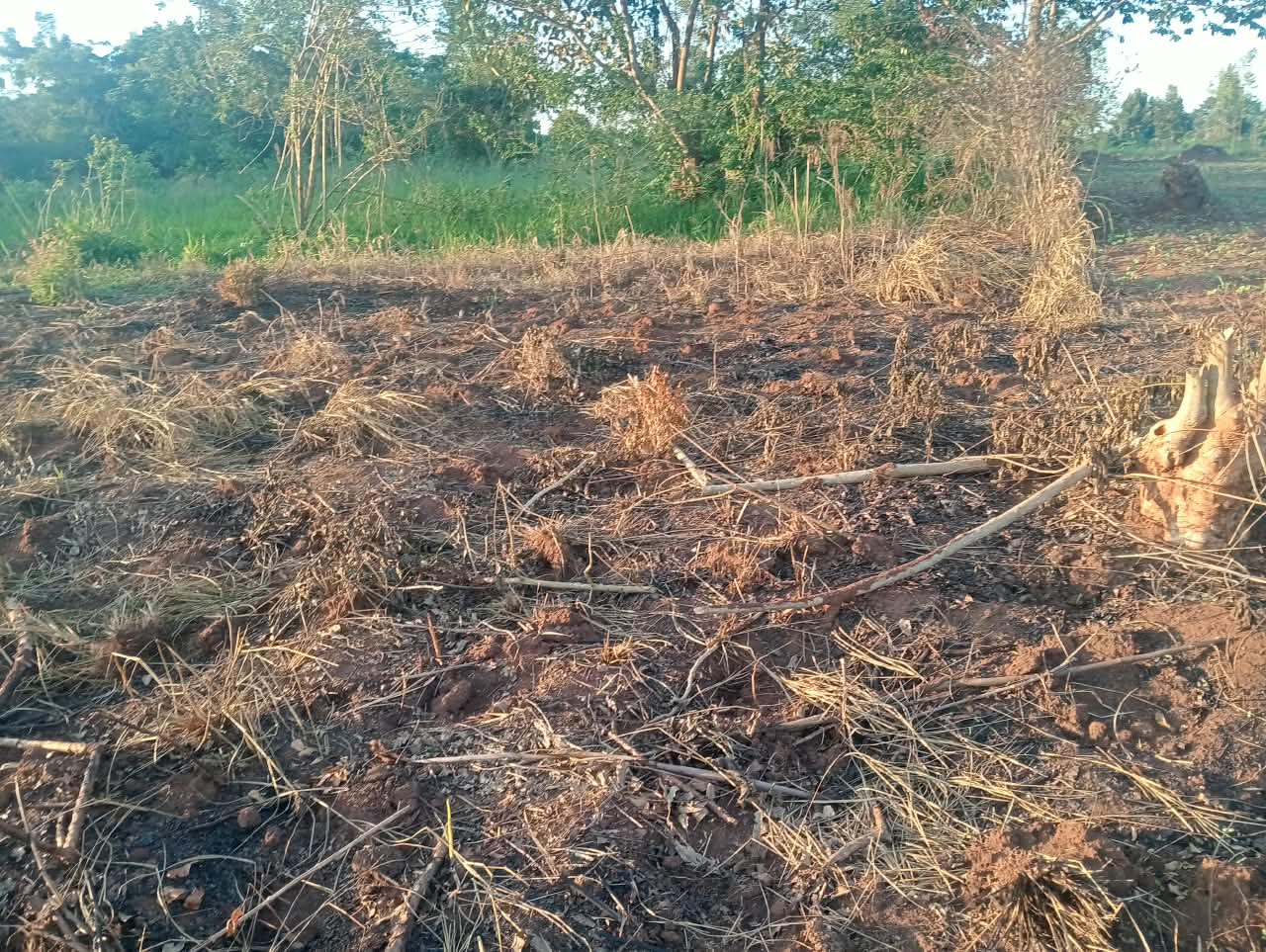 ​1.70-Acre Agricultural Land Parcel for Sale in Luweero – Kakuuto Bamugolodde