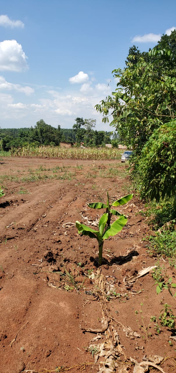 1 Acre of Land for Sale in Busika-Vumba