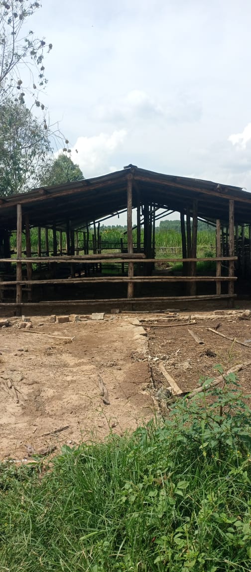 10-Acre Farmland for Sale in Katuugo (After Kakooge, Gulu Highway)