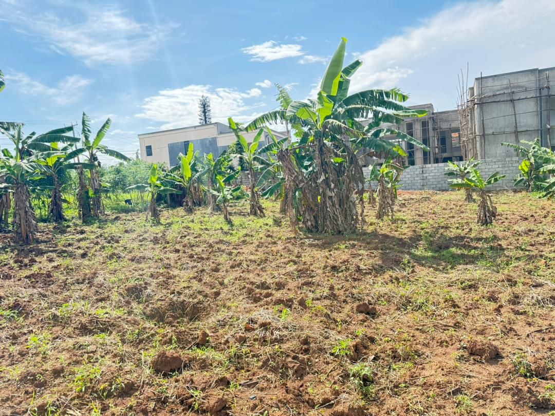 100ft x 100ft Plot for Sale in Kira Mulawa (Shimon Estate)