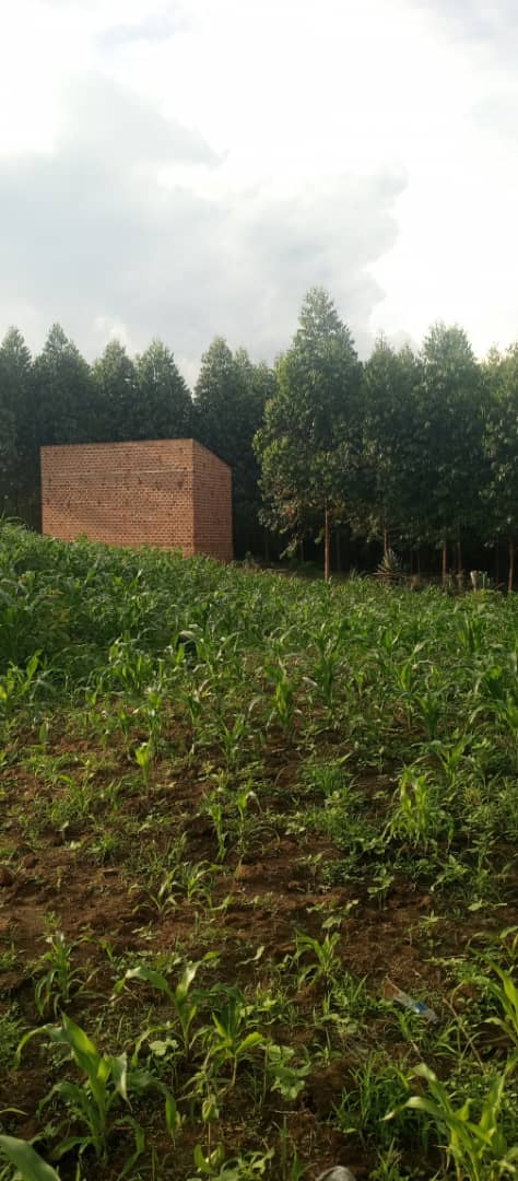 11 Acres for Sale in Kikyusa, Wabusaana (Luwero)