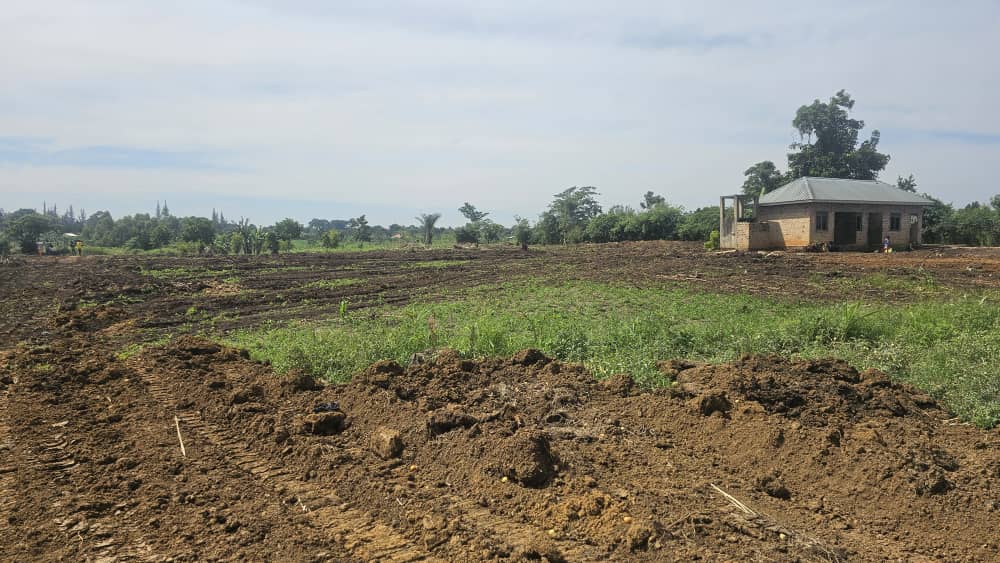 12 Decimals of Prime Land in Janda along Gayaza-Zirobwe Road