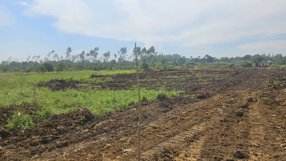 12 Decimals of Prime Land in Janda along Gayaza-Zirobwe Road