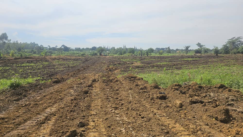 12 Decimals of Prime Land in Janda along Gayaza-Zirobwe Road