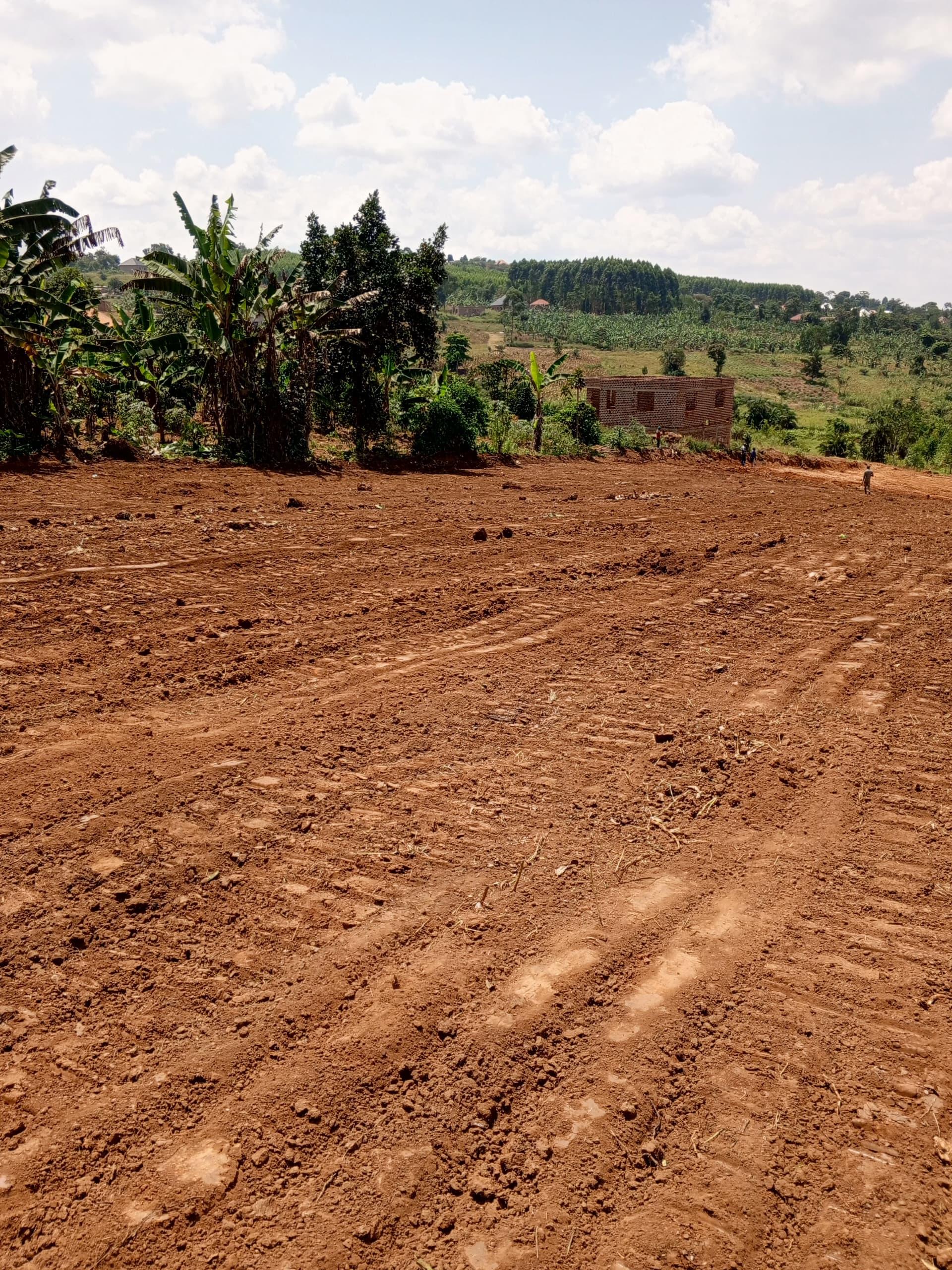 12 Decimals of Prime Land in Kikugi Homia 