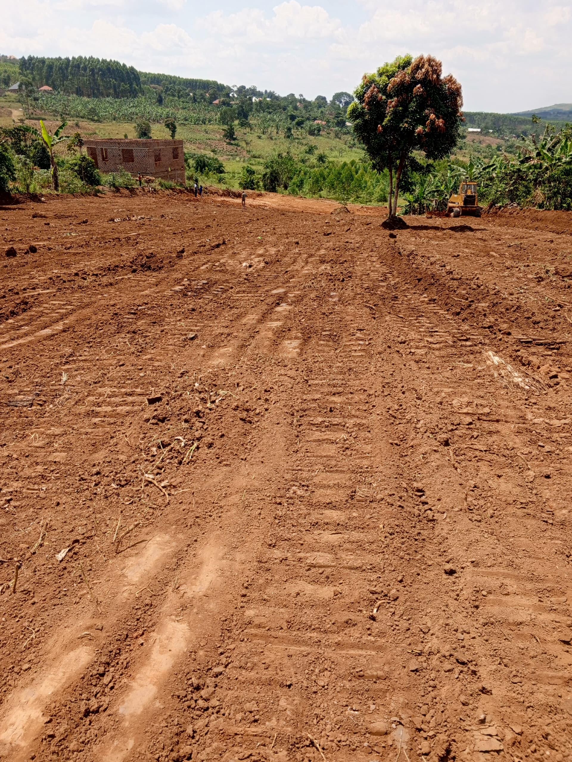 12 Decimals of Prime Land in Kikugi Homia 