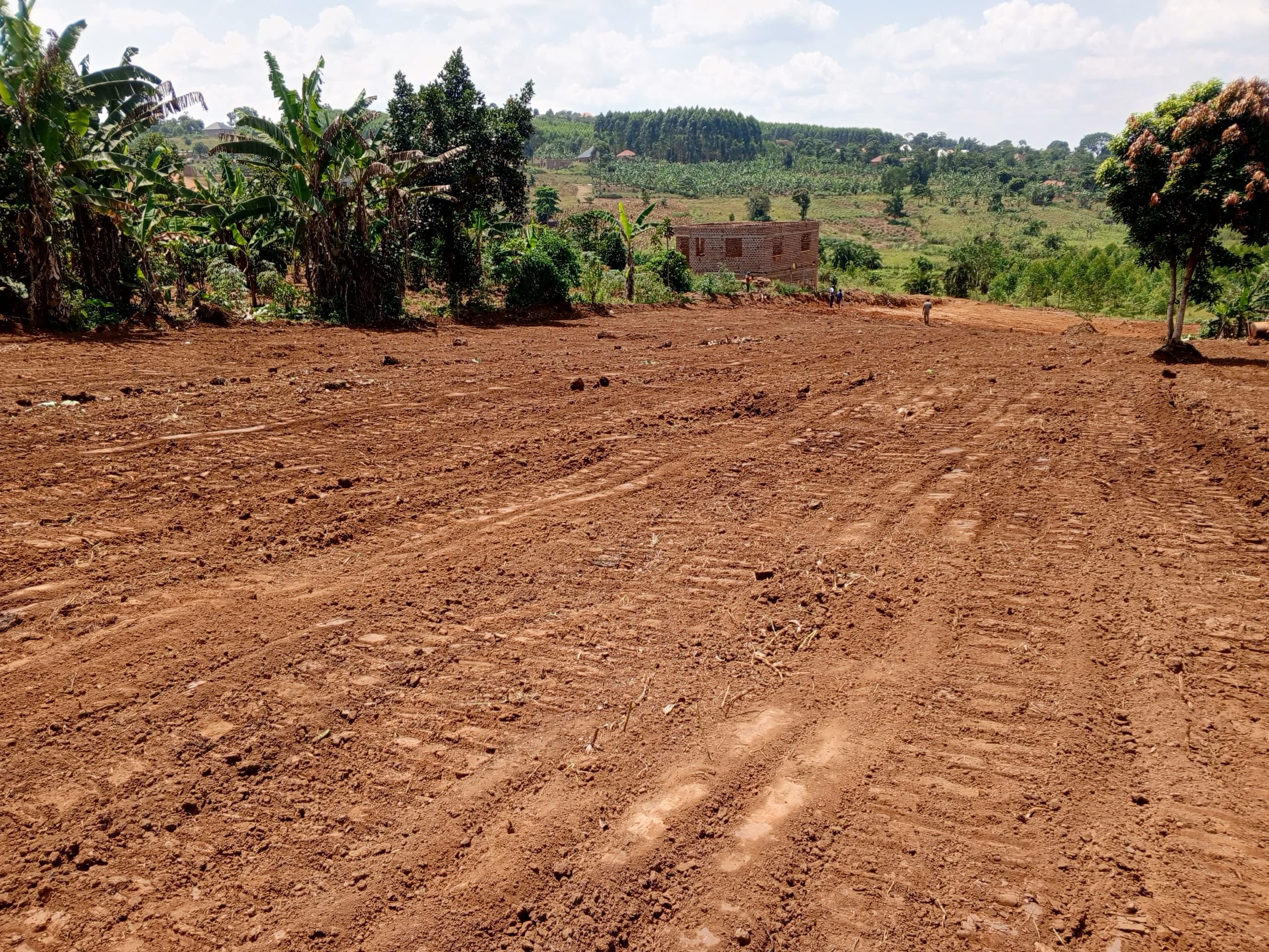 12 Decimals of Prime Land in Kikugi Homia 