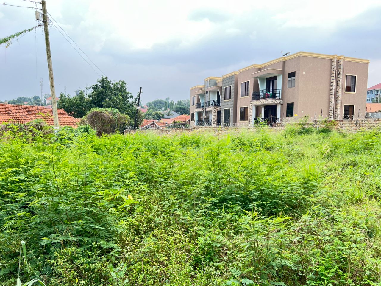 12 DECIMALS OF PRIME LAND IN KIRA TOWN