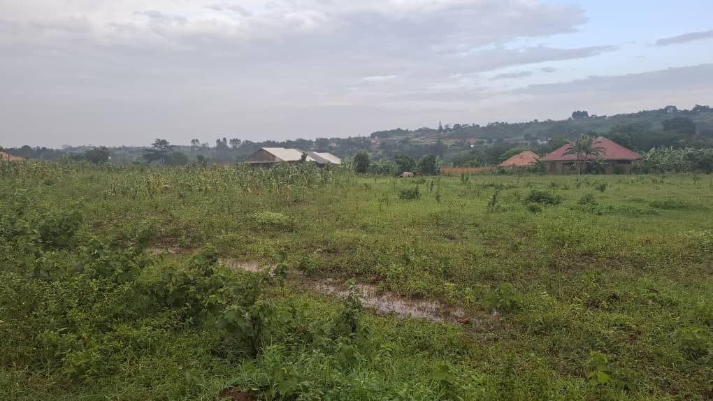 12 Decimals of Prime Land in Nakasajja Off Gayaza Road  