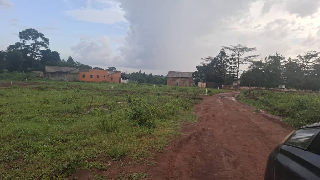 12 Decimals of Prime Land in Nakasajja Off Gayaza Road  