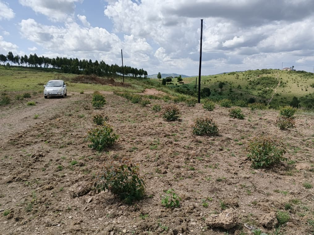 130 Acres for Sale in Mate, Busunju – 500m Off Tarmac