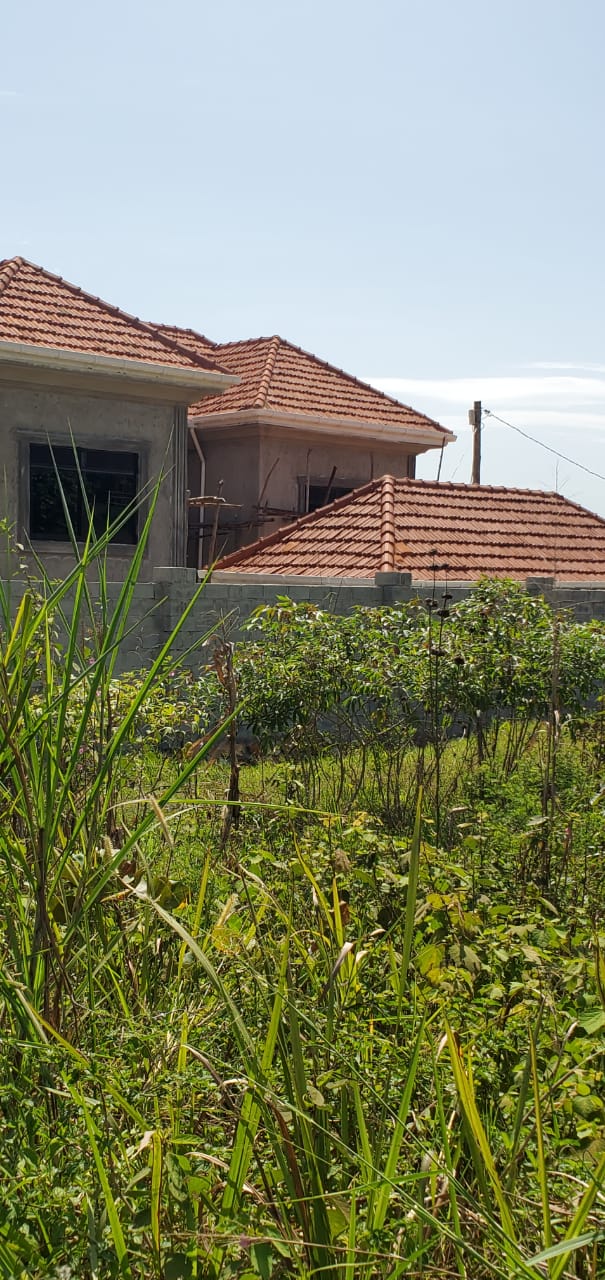 2 plots available in Sisa Sanda, each measuring 50×100ft.  