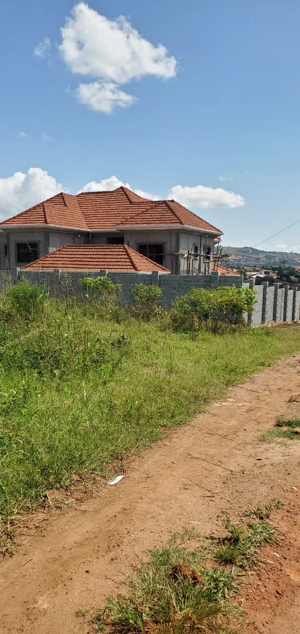 2 plots available in Sisa Sanda, each measuring 50×100ft.  