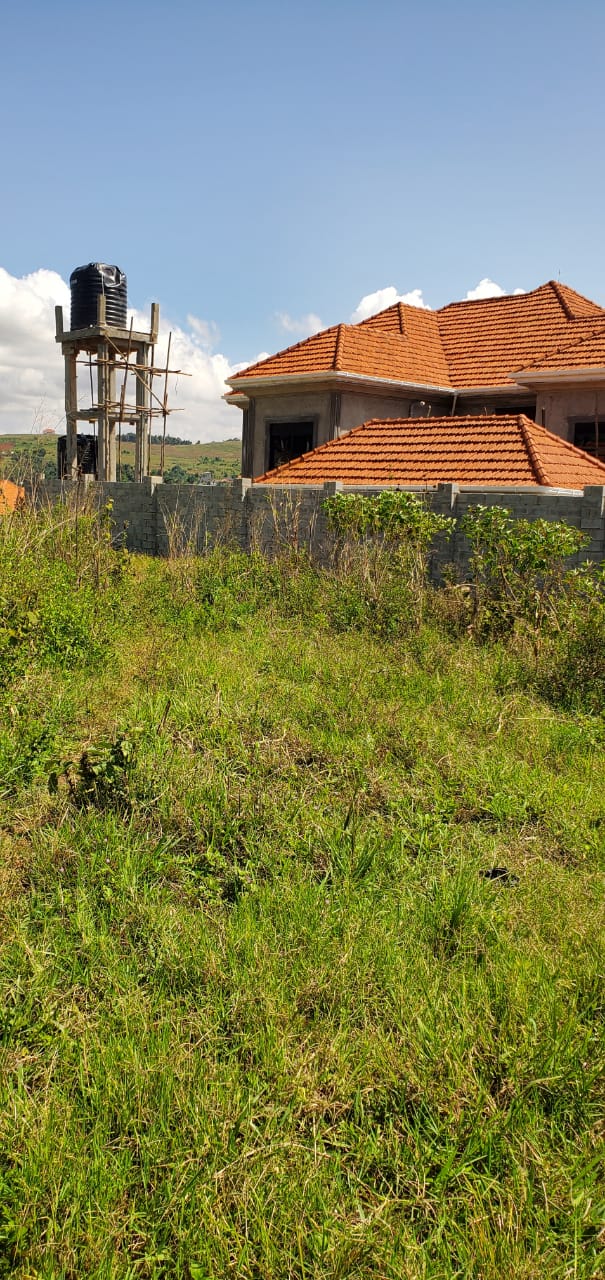 2 plots available in Sisa Sanda, each measuring 50×100ft.  