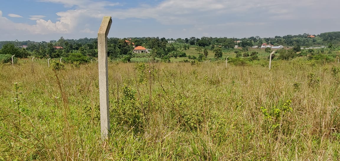 32 Decimal Plot for Sale in Kiwenda