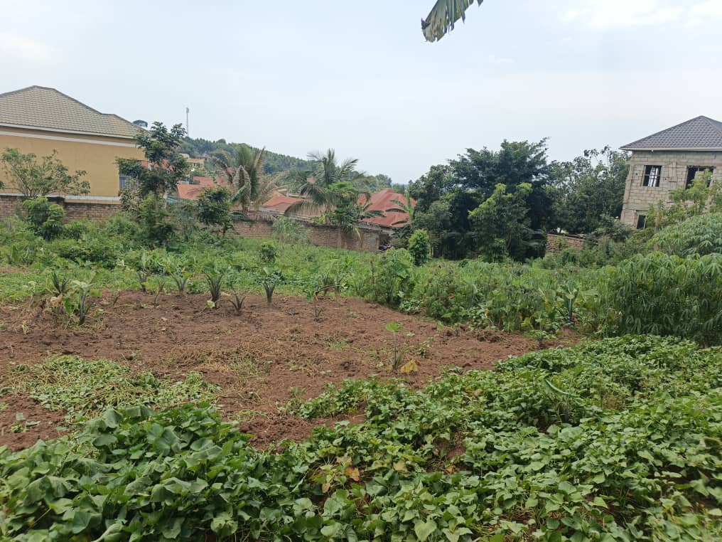 38 Decimals of Titled Land in Seeta Namiryango