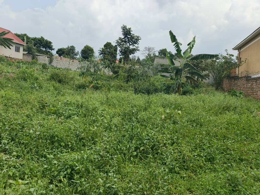 38 Decimals of Titled Land in Seeta Namiryango