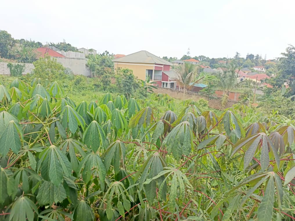 38 Decimals of Titled Land in Seeta Namiryango