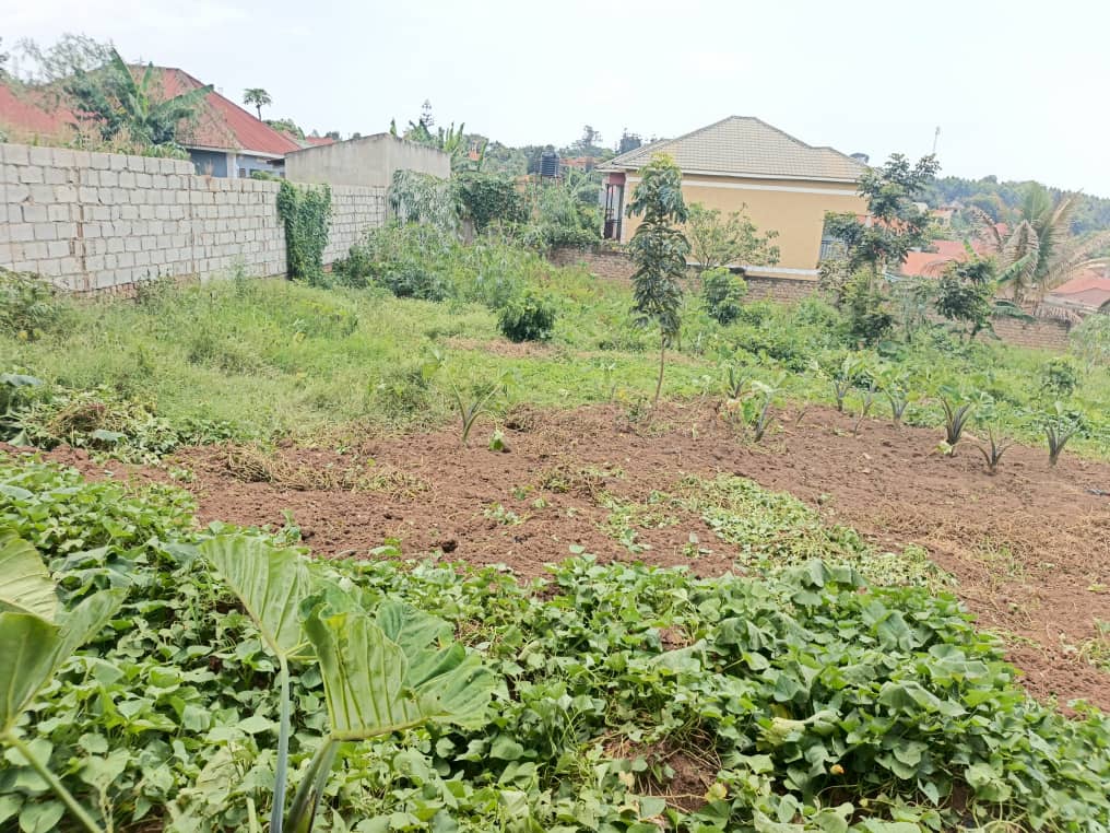 38 Decimals of Titled Land in Seeta Namiryango