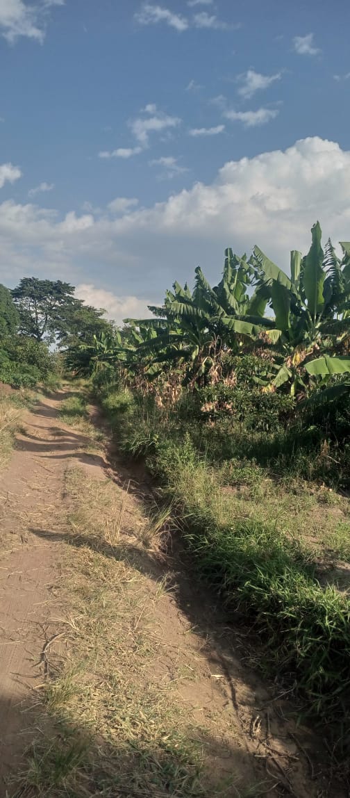 50-Acre Farmland for Sale in Kikyusa, Tokekuru