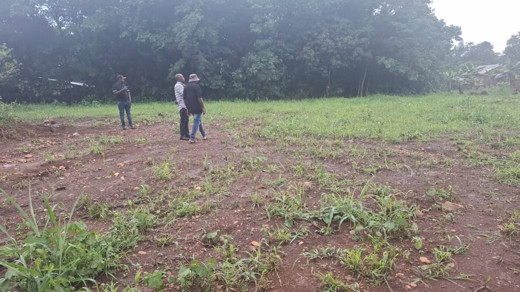 50 Decimals of Prime Land