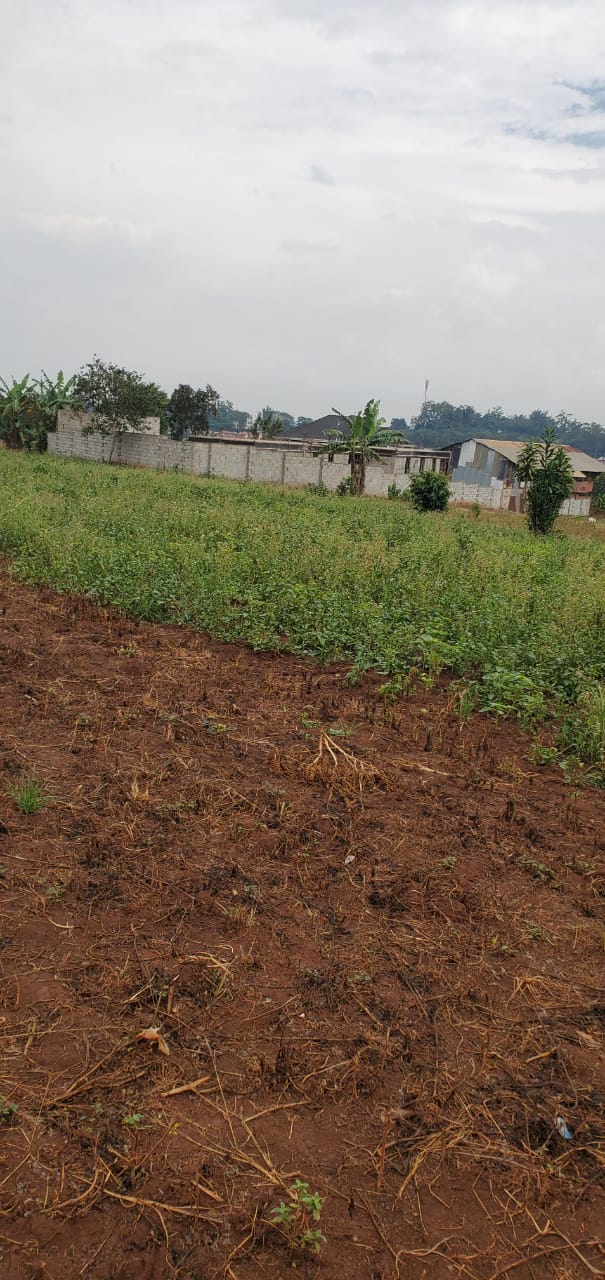 50x100 ft Plot for Sale in Gayaza Kabanyolo