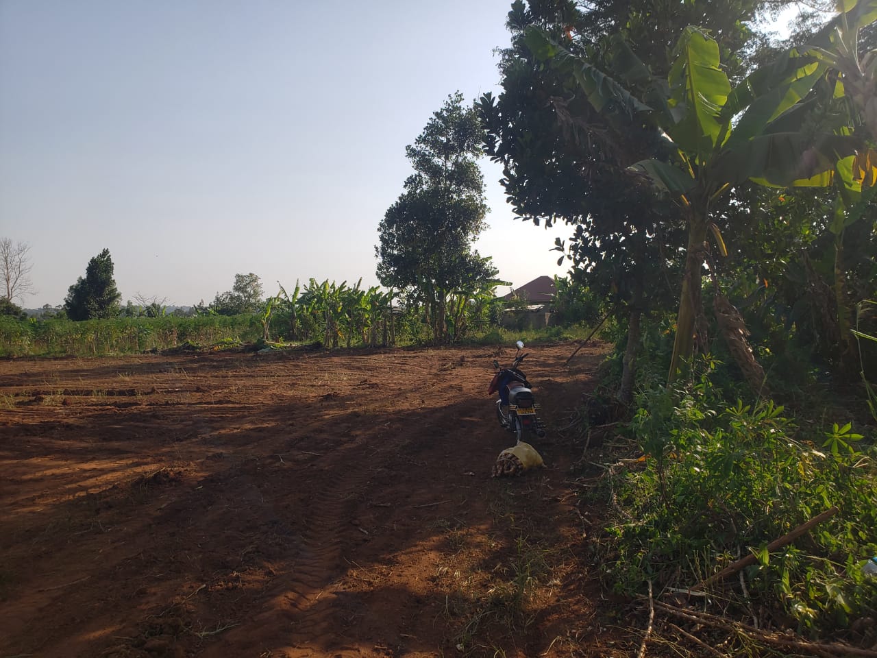 50X100ft Plots in Gayaza - Busiika