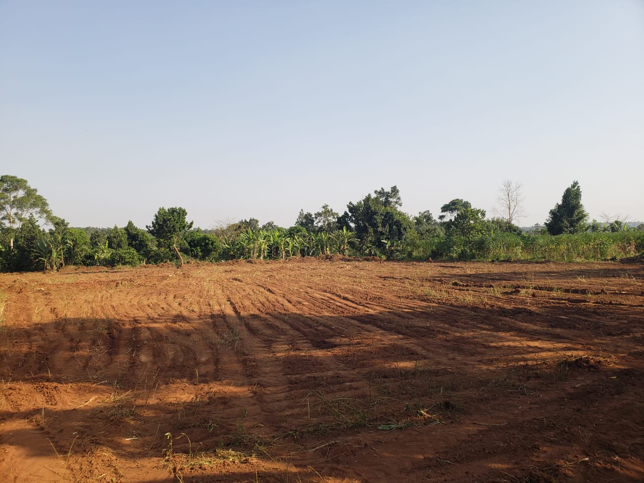 50X100ft Plots in Gayaza - Busiika