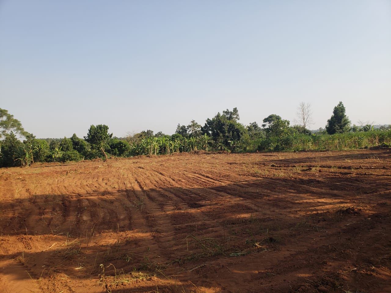 50X100ft Plots in Gayaza - Busiika