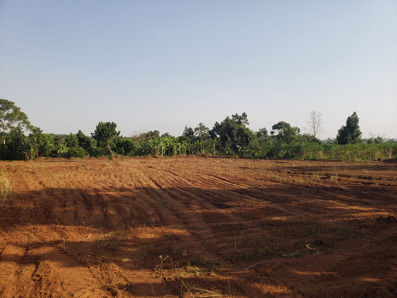 50X100ft Plots in Gayaza - Busiika