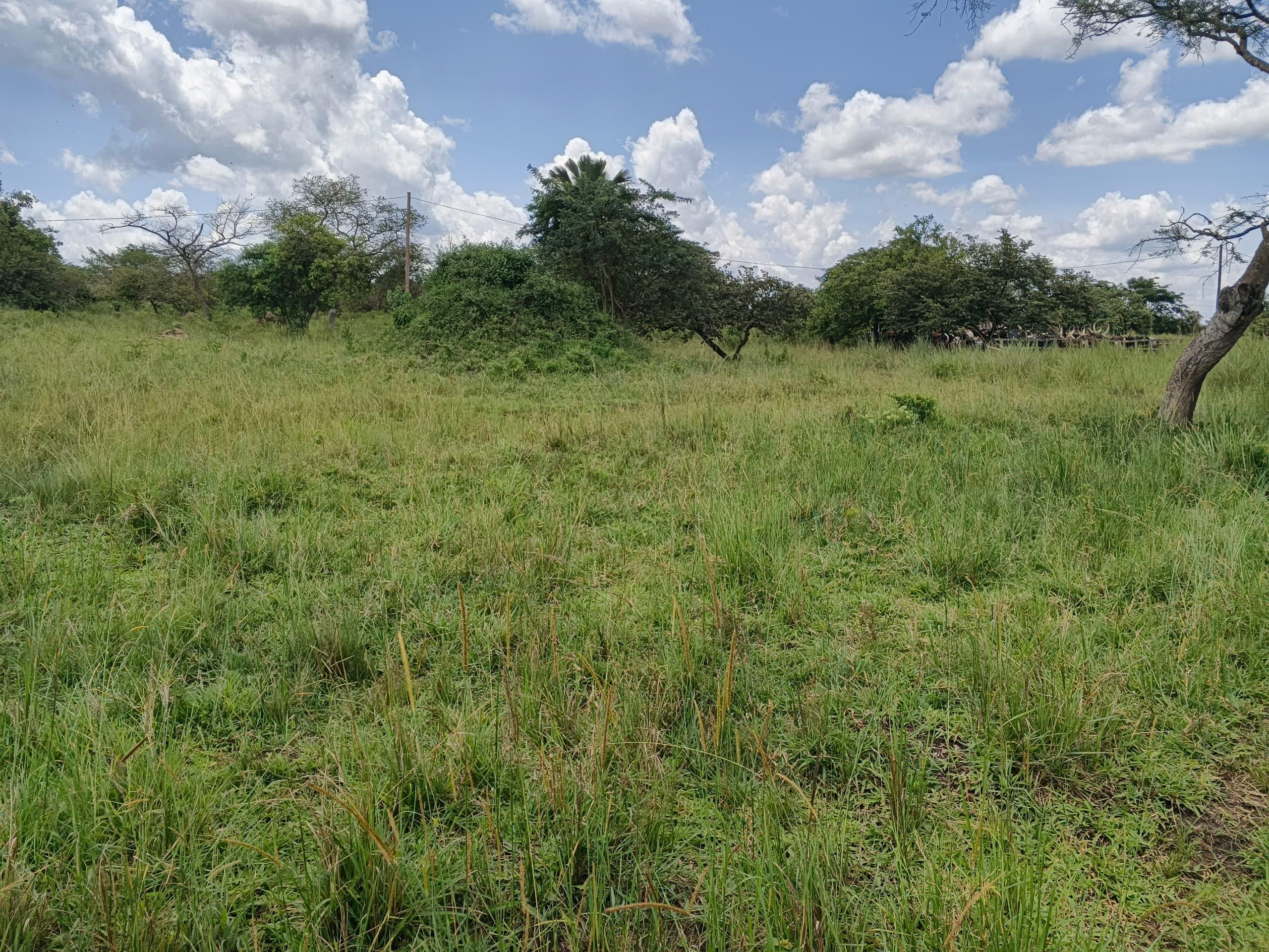 720-Acre Commercial Cattle Farm for Sale in Katalama Muyenje, Kiboga