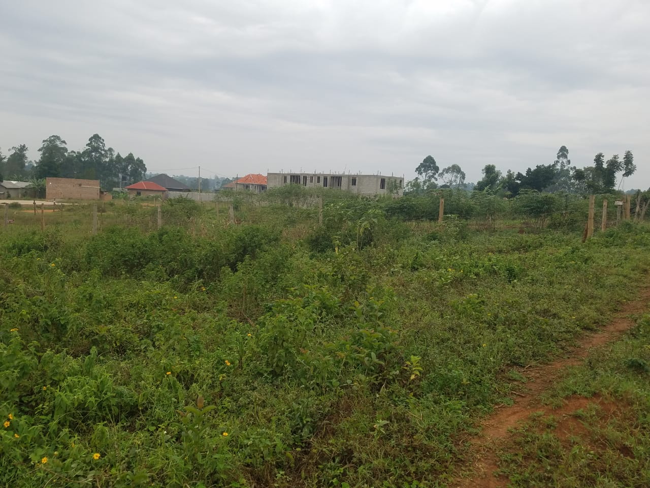 A 50ft × 100ft plot available in Gayaza Nakwero