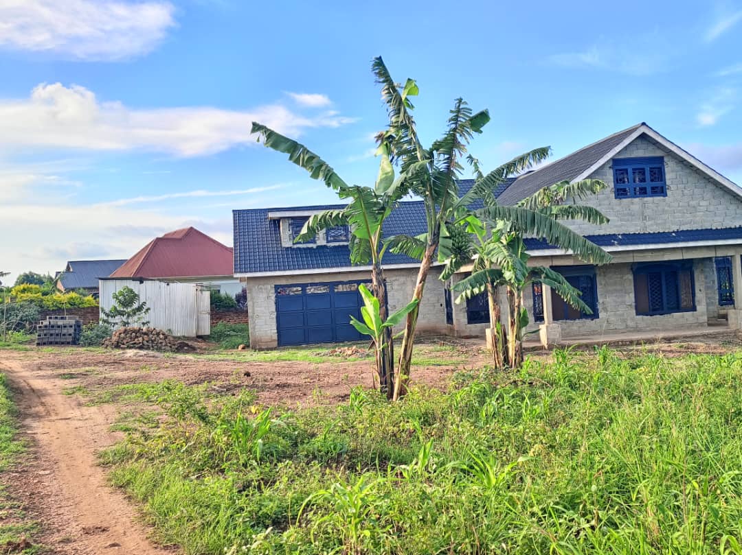 Affordable 50ft x 100ft Titled Plot for Sale in Matugga – Kitungwa (Installments Allowed)