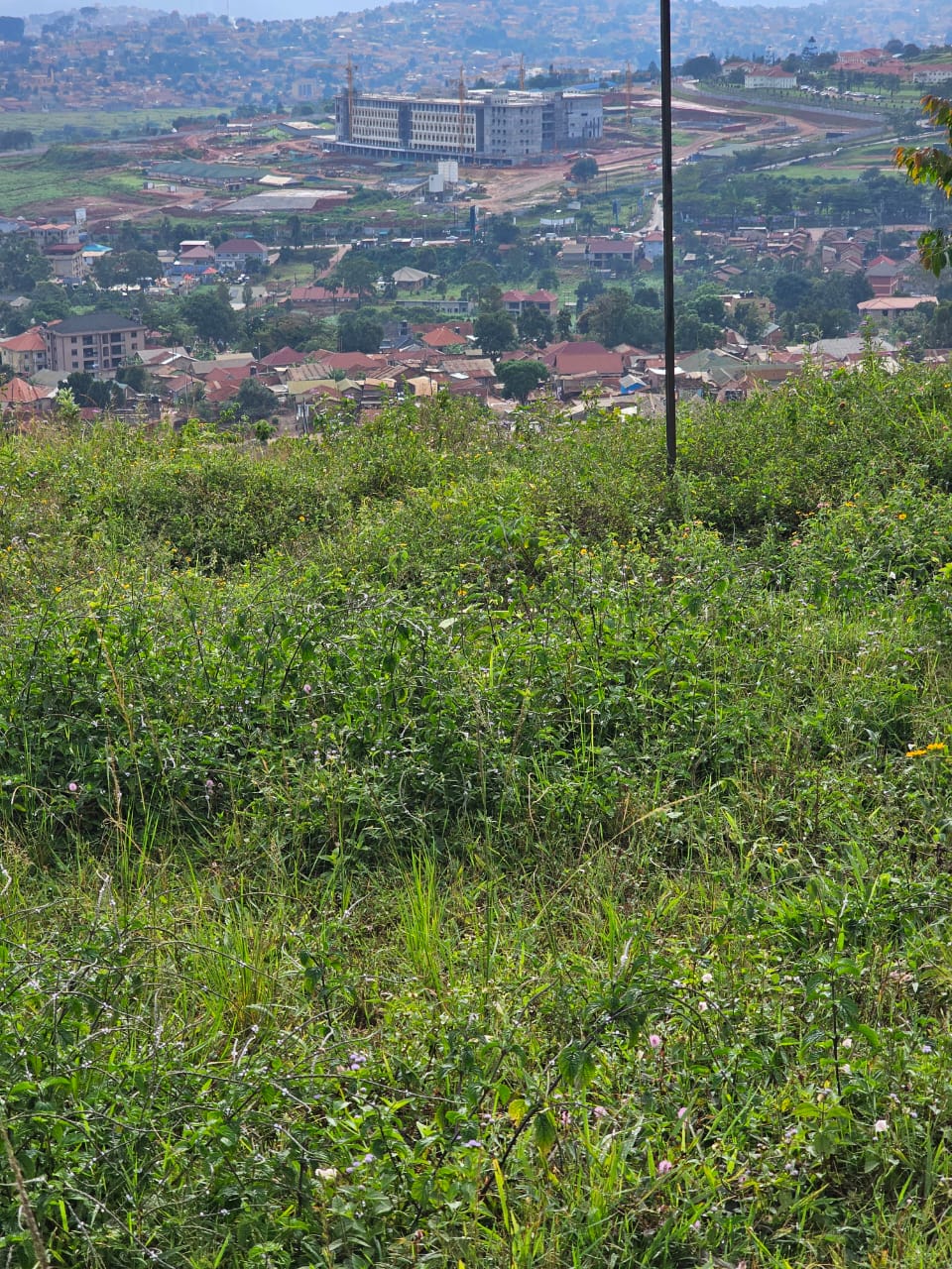 Bunamwaya Hilltop Land for Sale 2 Acres with Title – Real Estate Investment Opportunity in Kampala  