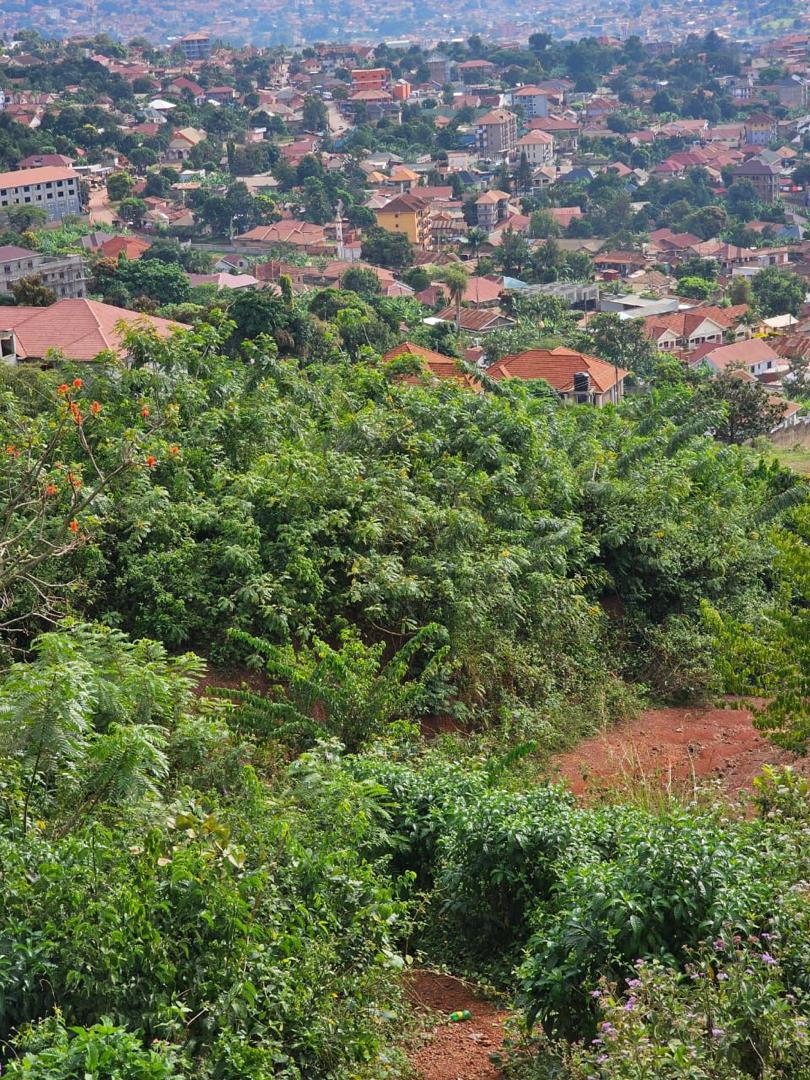 Bunamwaya Hilltop Land for Sale 2 Acres with Title – Real Estate Investment Opportunity in Kampala  