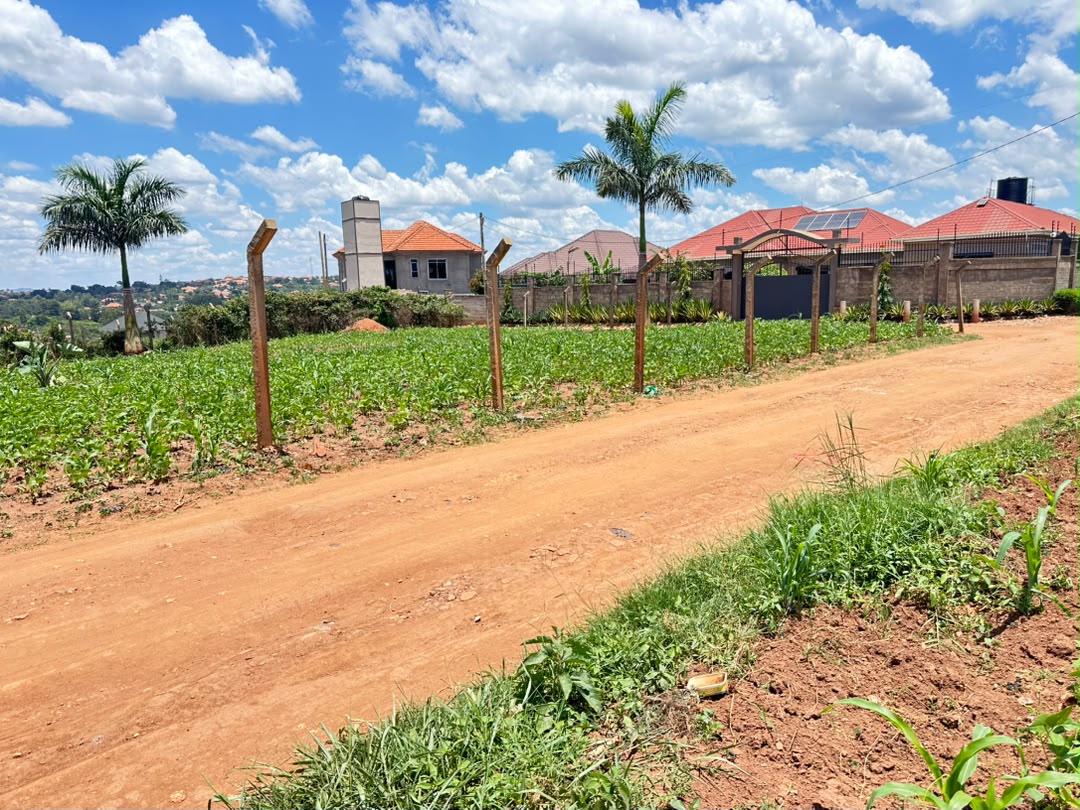 Discounted 50ft x 100ft Plot for Sale in Kira – Nakwero (Price Reduced!)