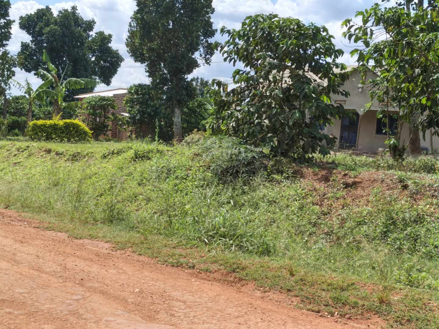 Expansive 104-Acre Titled Farmland for Sale in Mityana Municipality