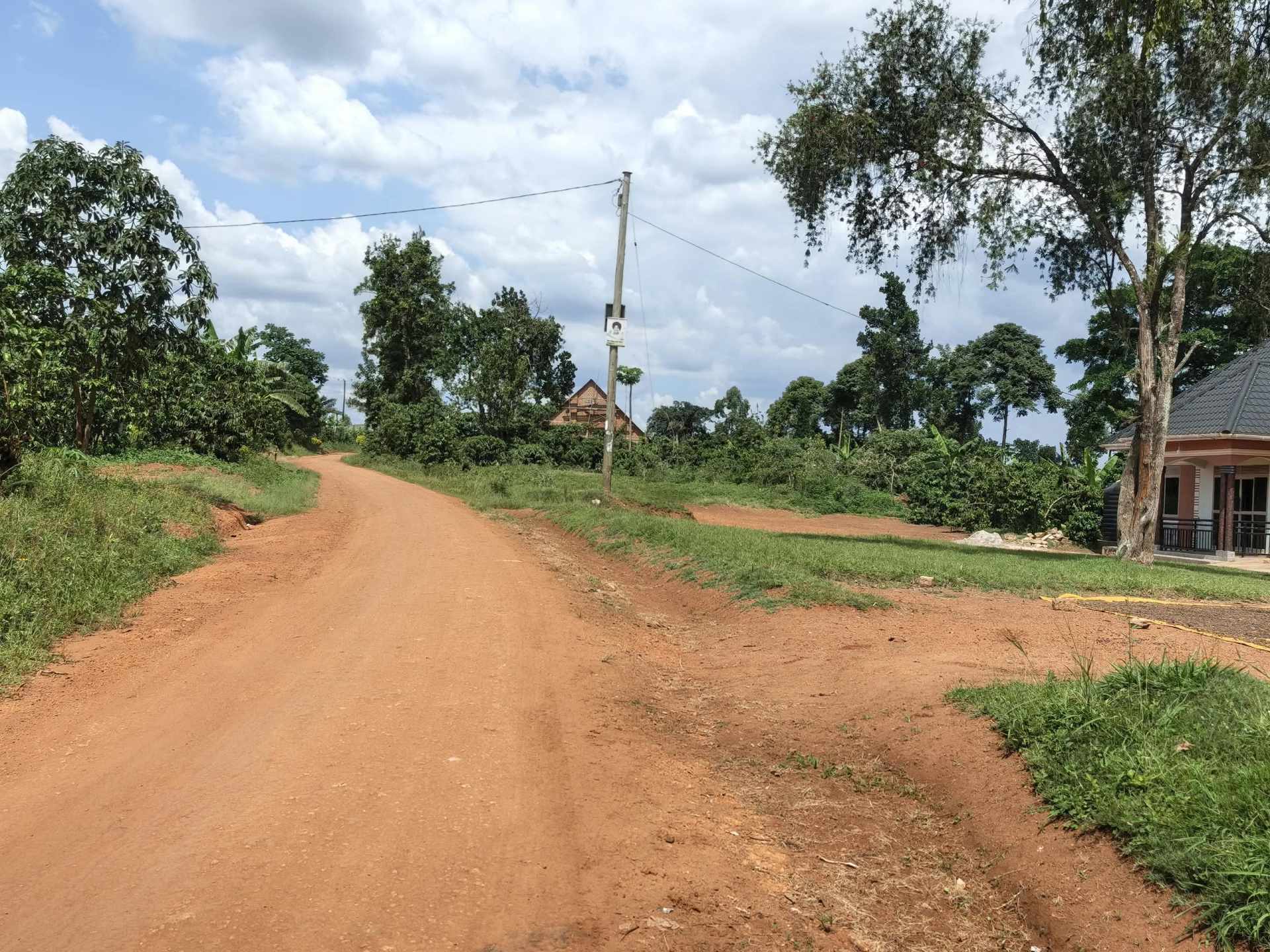 Expansive 104-Acre Titled Farmland for Sale in Mityana Municipality