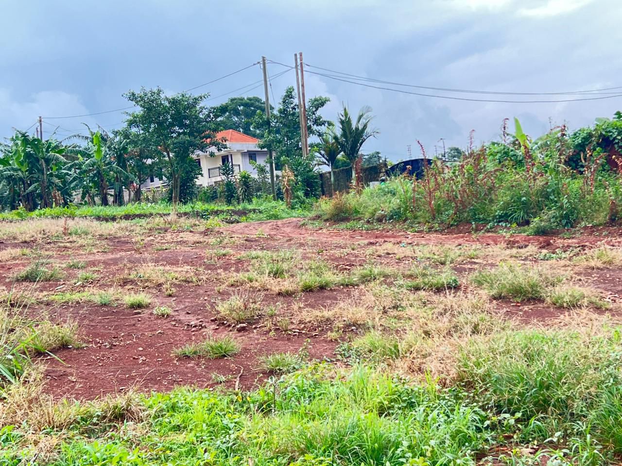 Kira Plot for Sale 15 Decimals with Private Milo Title at 65M – Quick Sale  