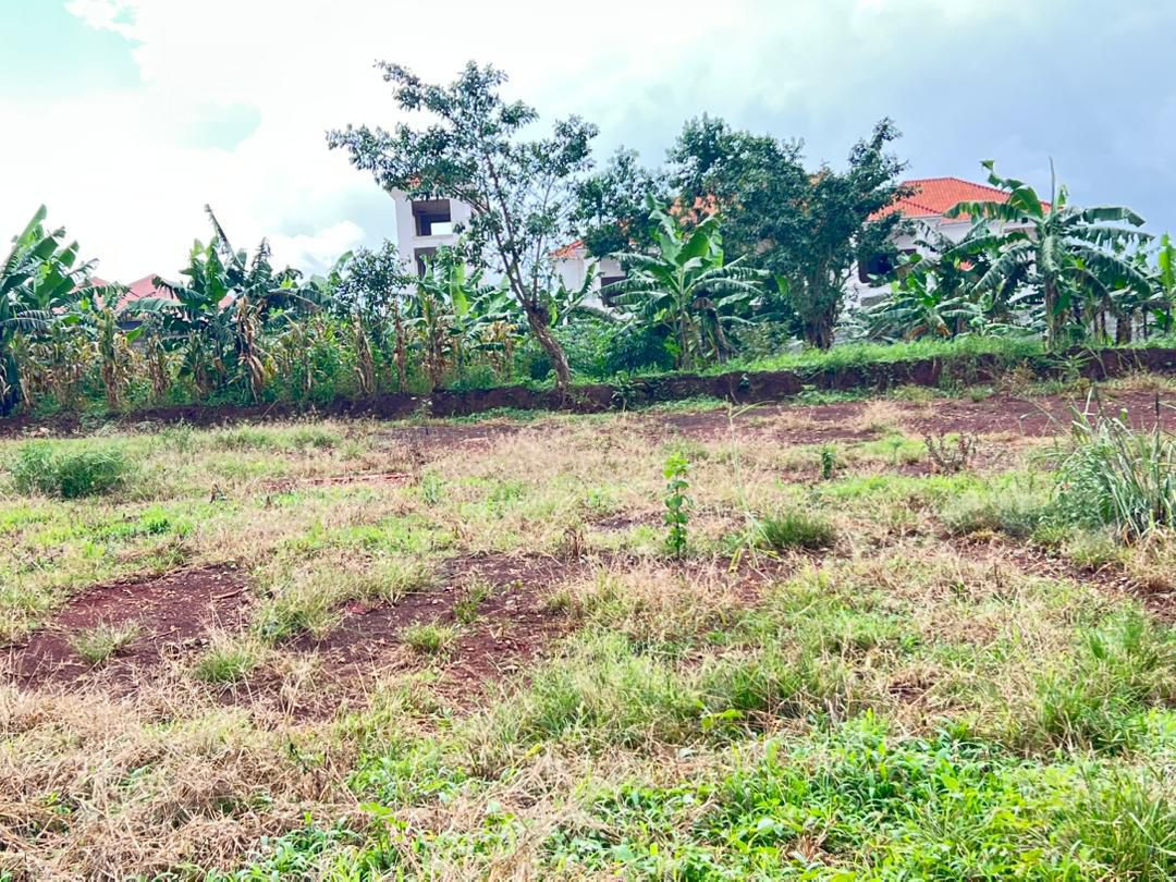 Kira Plot for Sale 15 Decimals with Private Milo Title at 65M – Quick Sale  