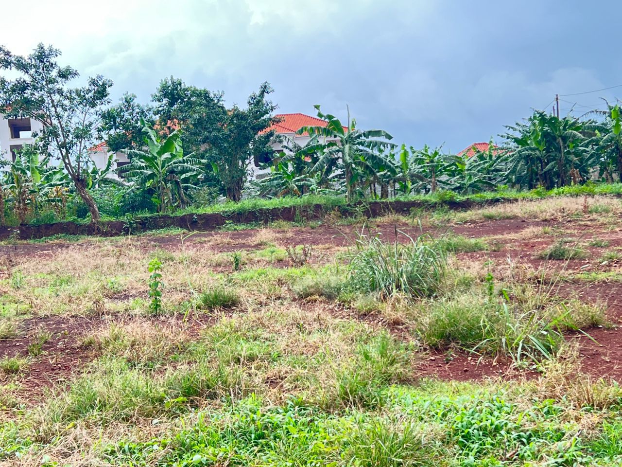 Kira Plot for Sale 15 Decimals with Private Milo Title at 65M – Quick Sale  