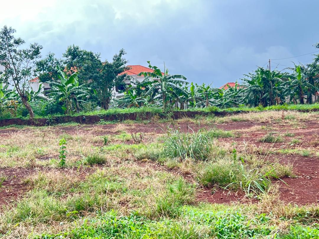 Kira Plot for Sale 15 Decimals with Private Milo Title at 65M – Quick Sale  