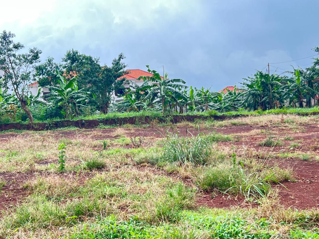 Kira Plot for Sale 15 Decimals with Private Milo Title at 65M – Quick Sale  