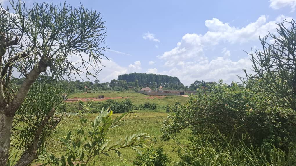 Kiwenda Off Gayaza Road Prime Plot for Sale