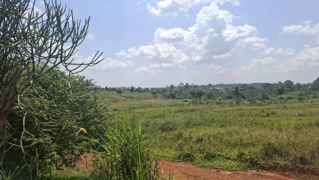 Kiwenda Off Gayaza Road Prime Plot for Sale