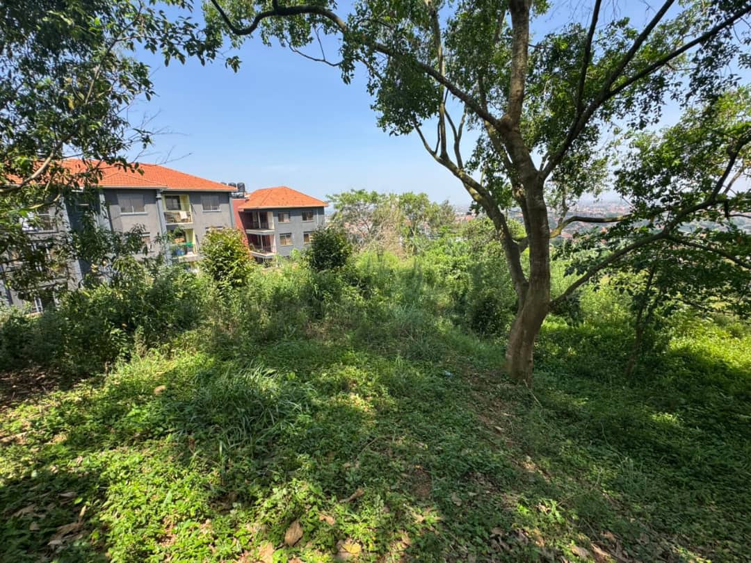 Land For Sale Kyanja Top Hill Site, Veiw Kampala