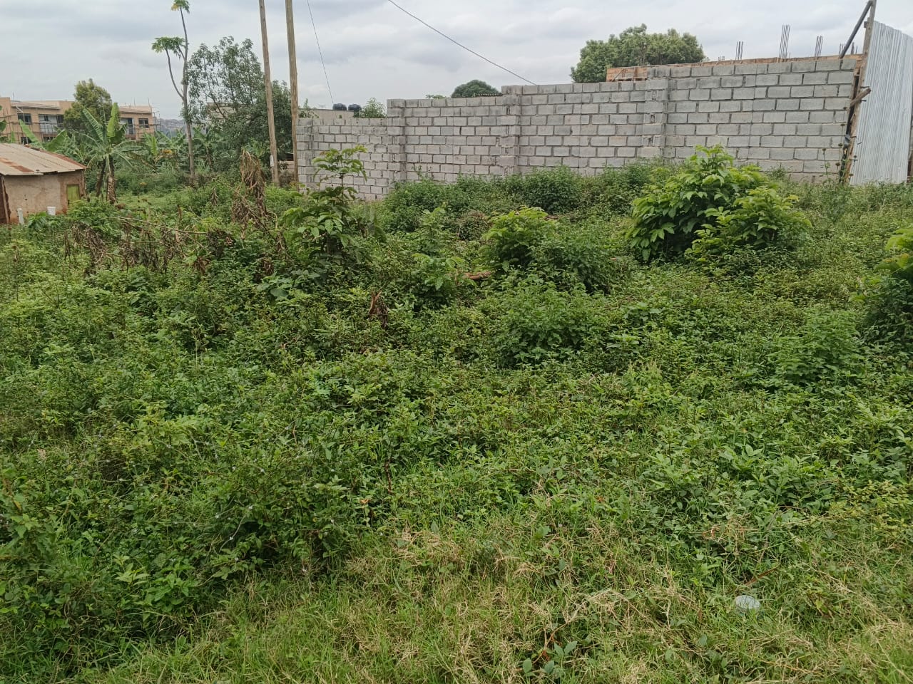 Najjera Buwatte Quick Plots for Sale near Family Care  