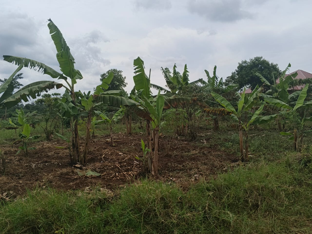 Plot for sale in Busiika Janda, 1km off the tarmac.  