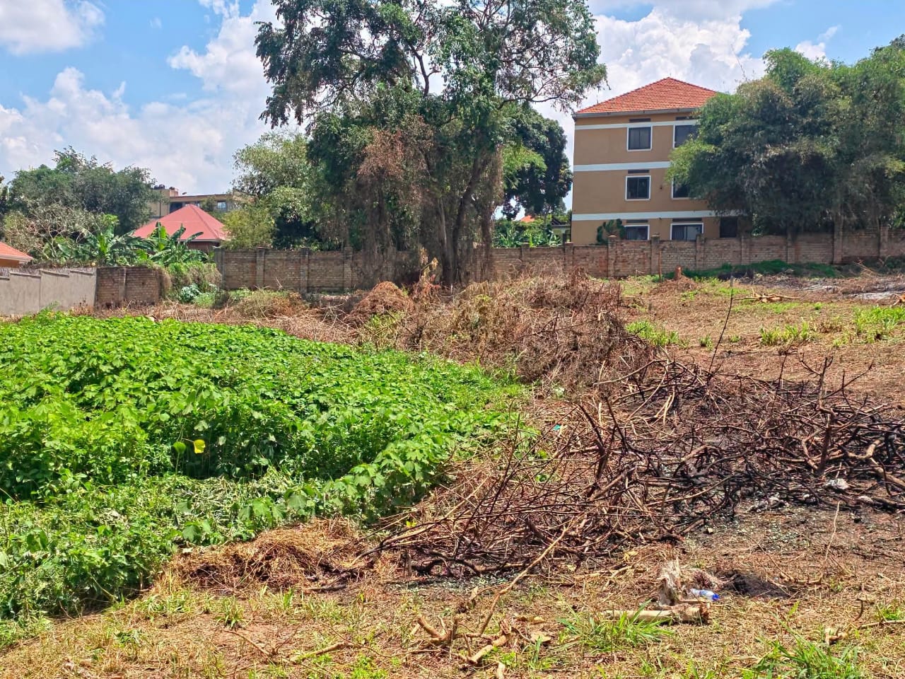 Prime 100ft x 100ft Plot for Sale in Kyanja Town – Urgent Quick Sale!